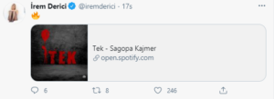 tek albüm sagopa kajmer kolera irem derici twitter