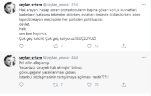 türkiye kadına şiddet twitter ceylan ertem