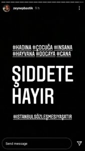 türkiye kadına şiddet instagram zeynep bastık